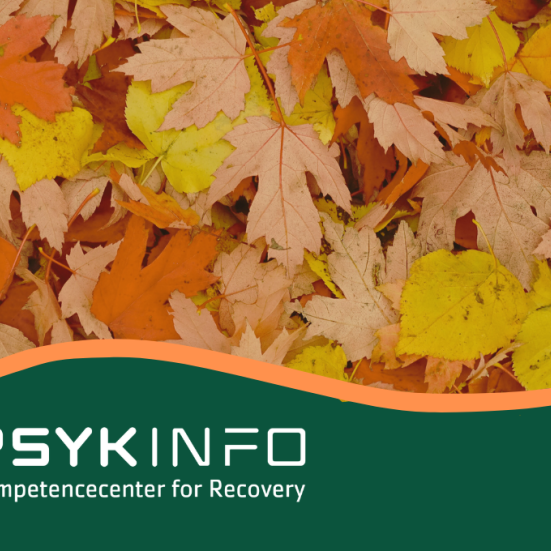 Pykinfo logo