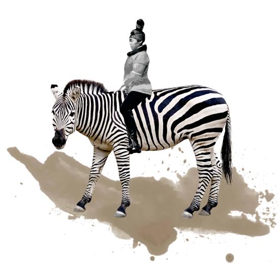 Kunst med zebra