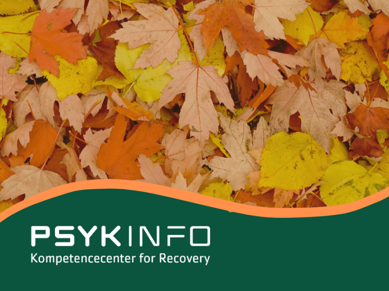 Pykinfo logo