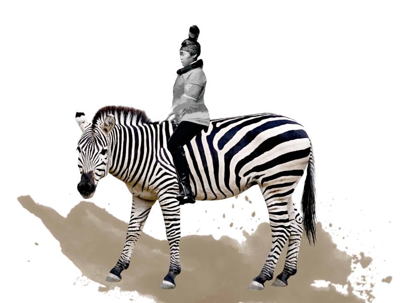 Kunst med zebra