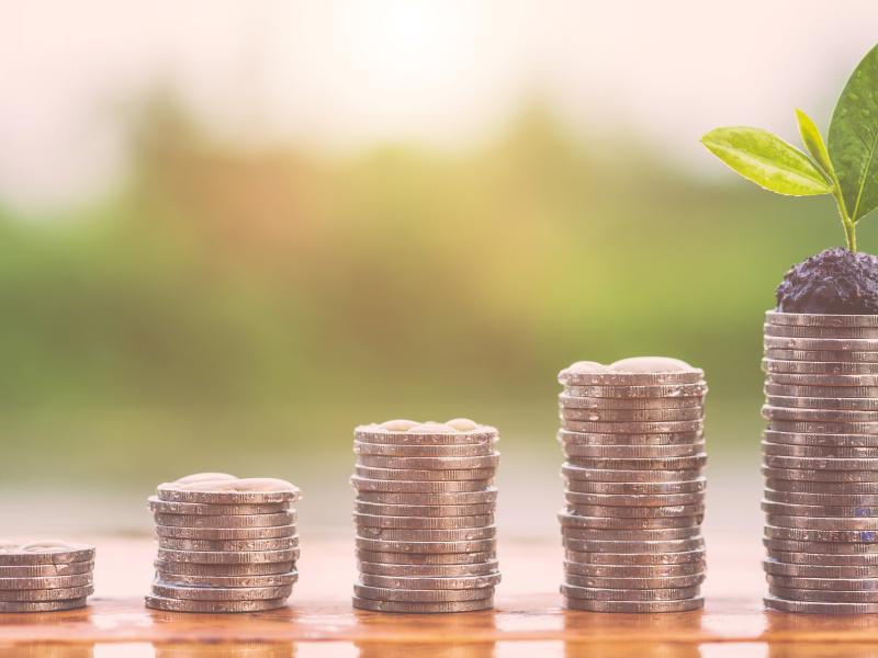 billede af møntstabler