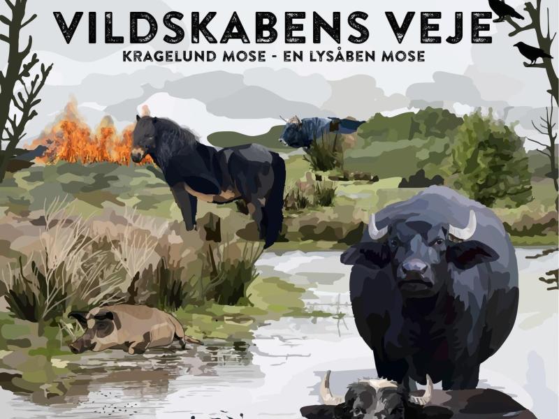 Foto af filmforside Vildskabens veje