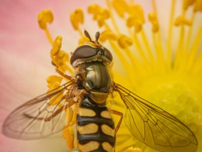 Foto taget af Bjarne Christensen