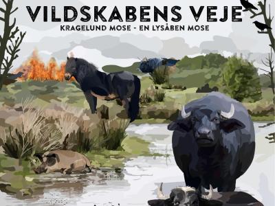 Foto af filmforside Vildskabens veje